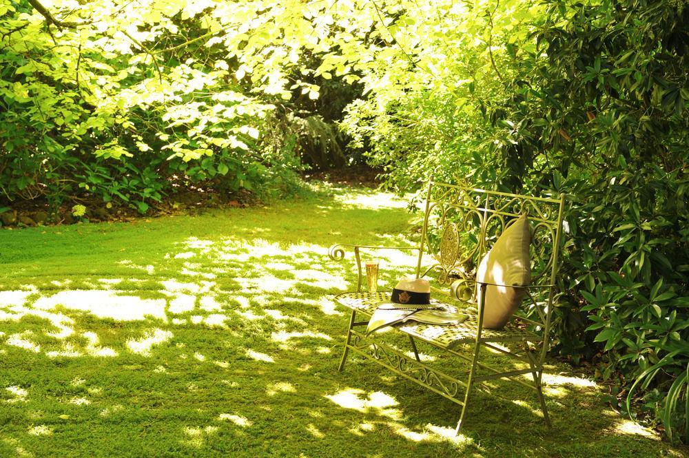 Clarendon Cottages Sassafras Ngoại thất bức ảnh